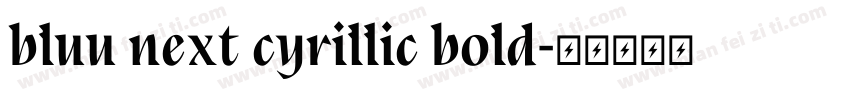bluu next cyrillic bold字体转换